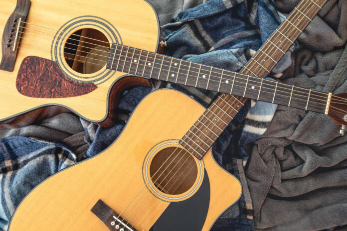 Is Zager Guitars Going Out of Business?